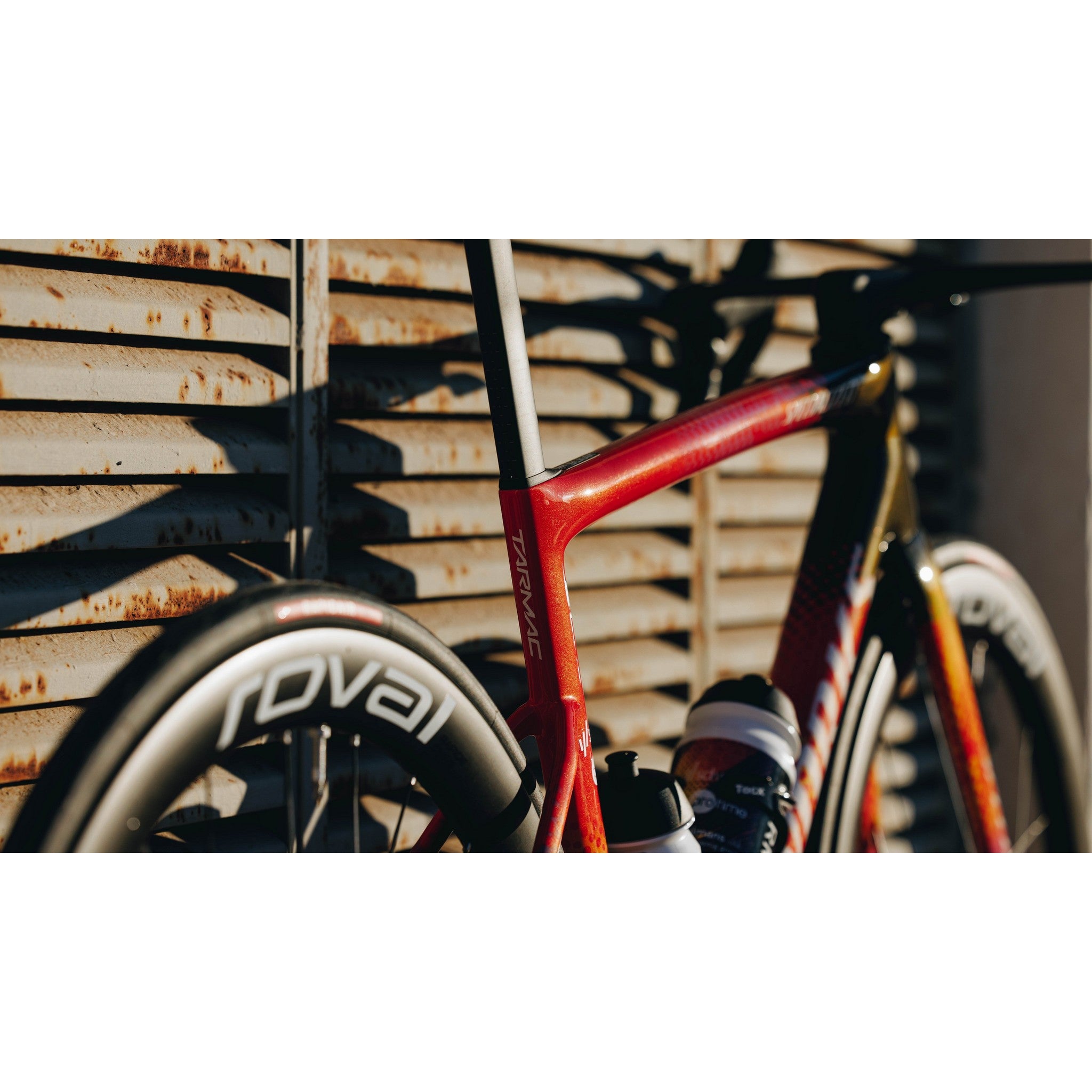 S-Works Tarmac SL8 Team Frameset: SD Worx - Protime