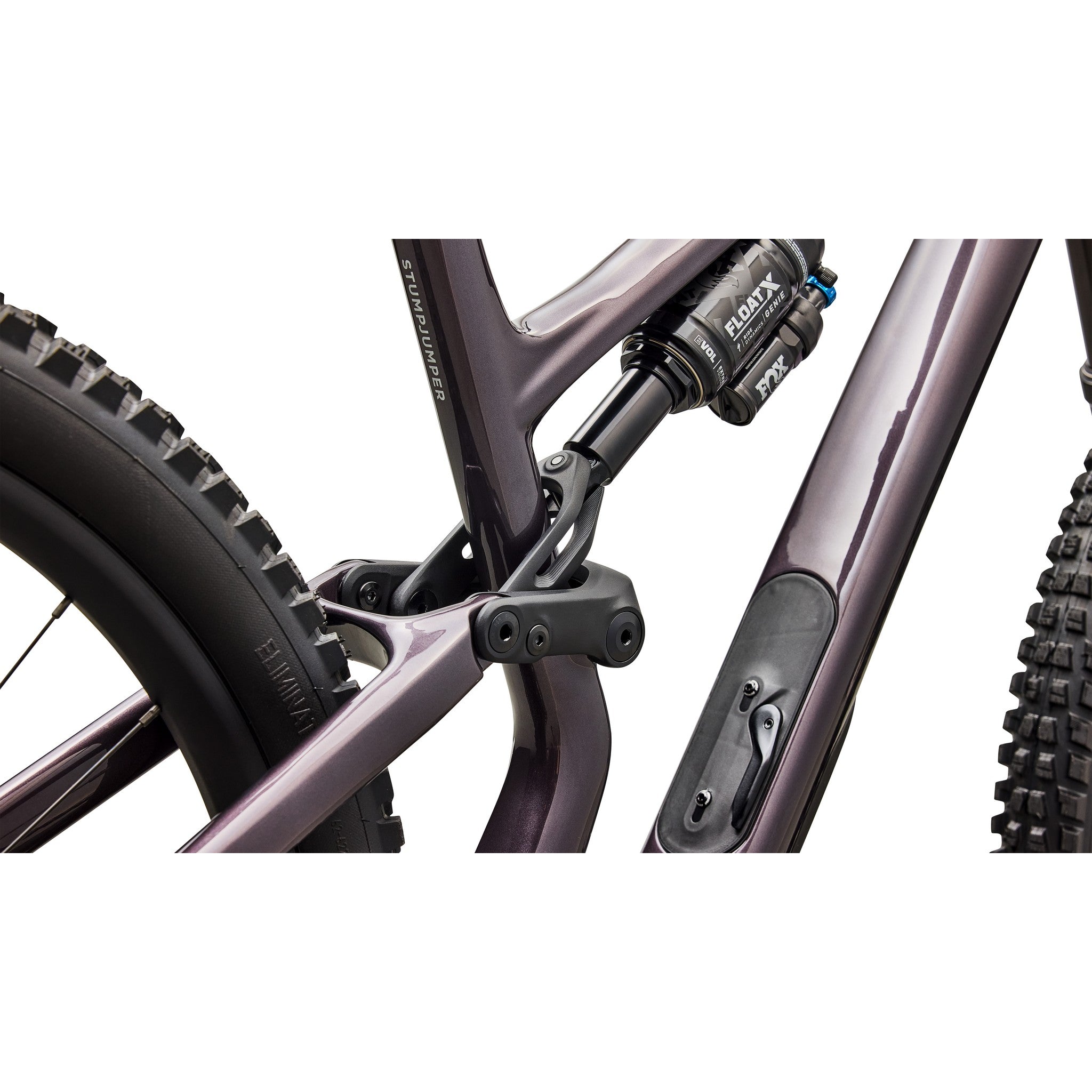 Stumpjumper 15 EVO Expert Di2