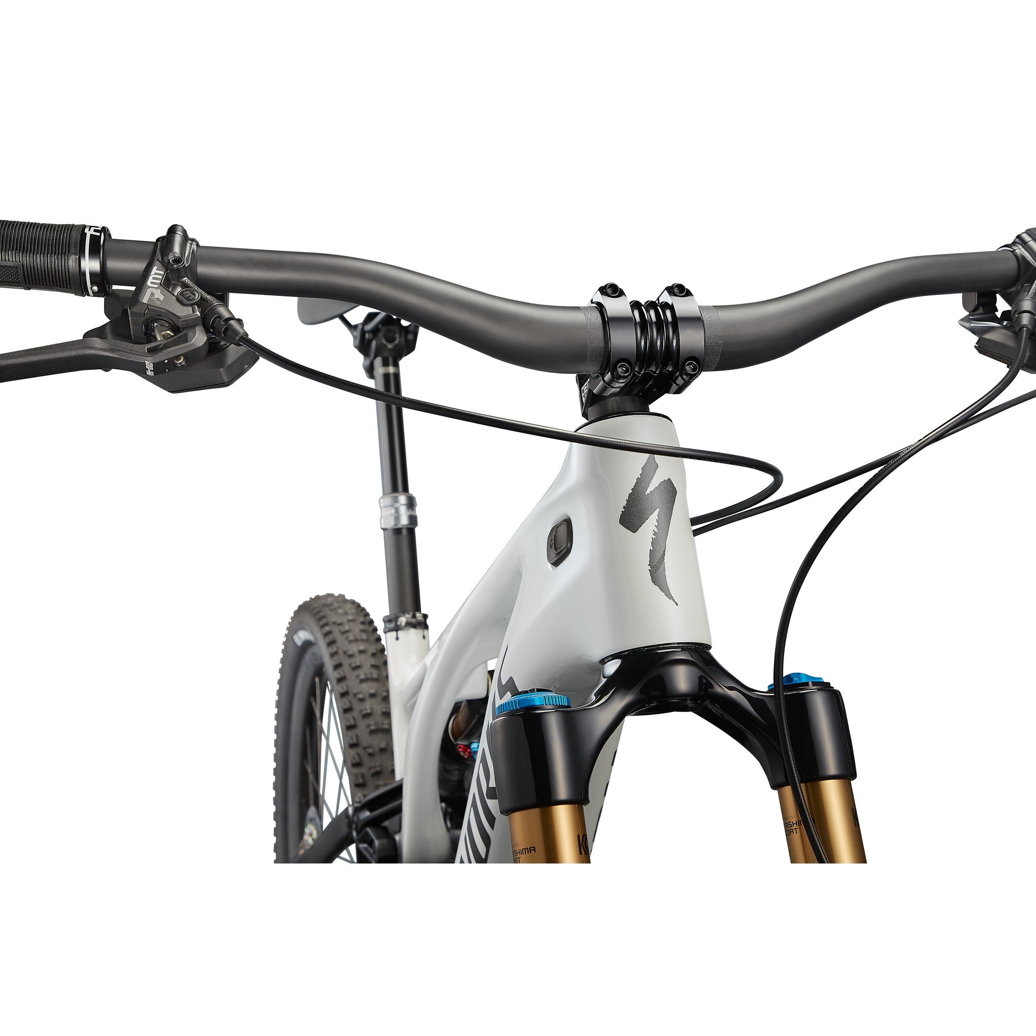 S-Works Turbo Levo 3