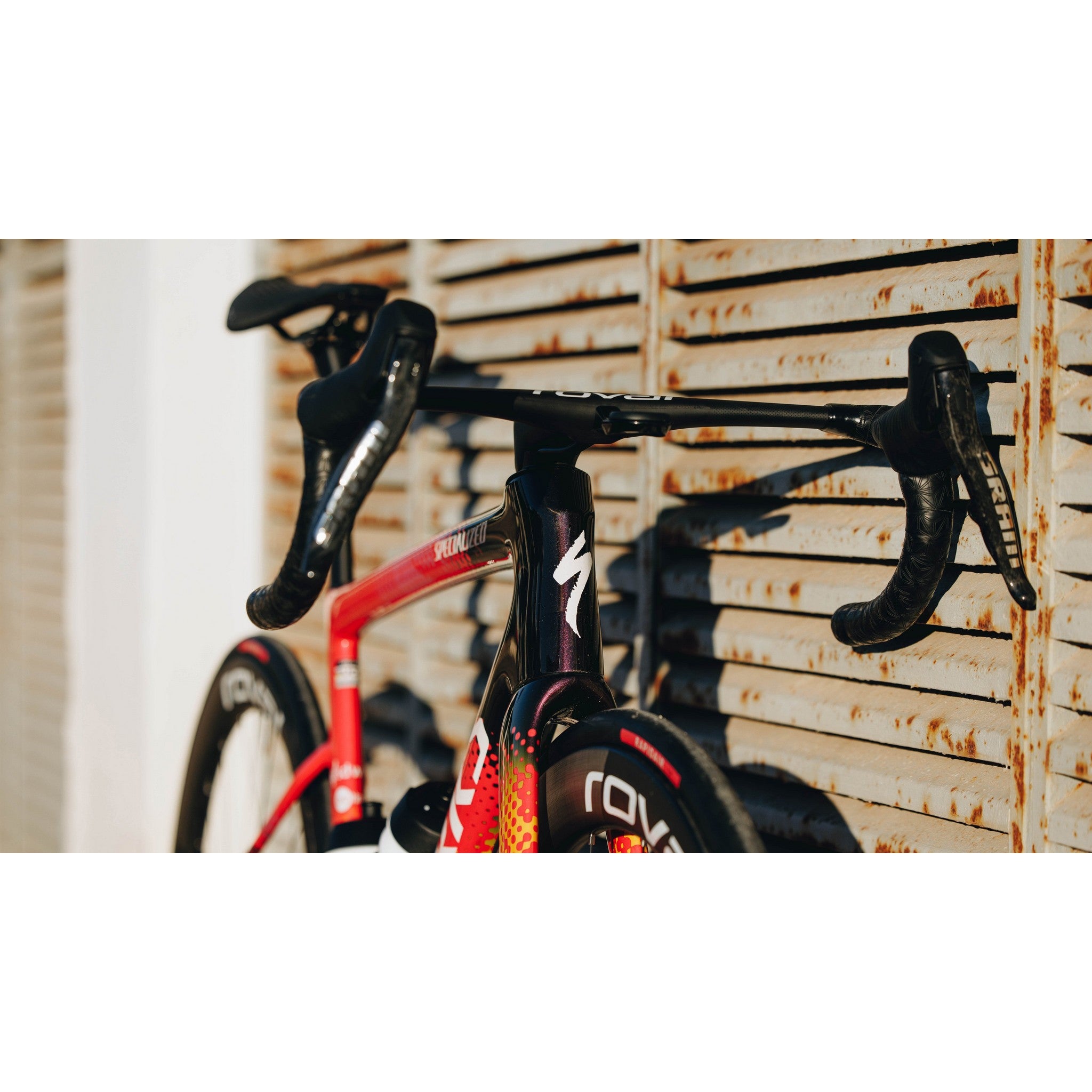 S-Works Tarmac SL8 Team Frameset: SD Worx - Protime