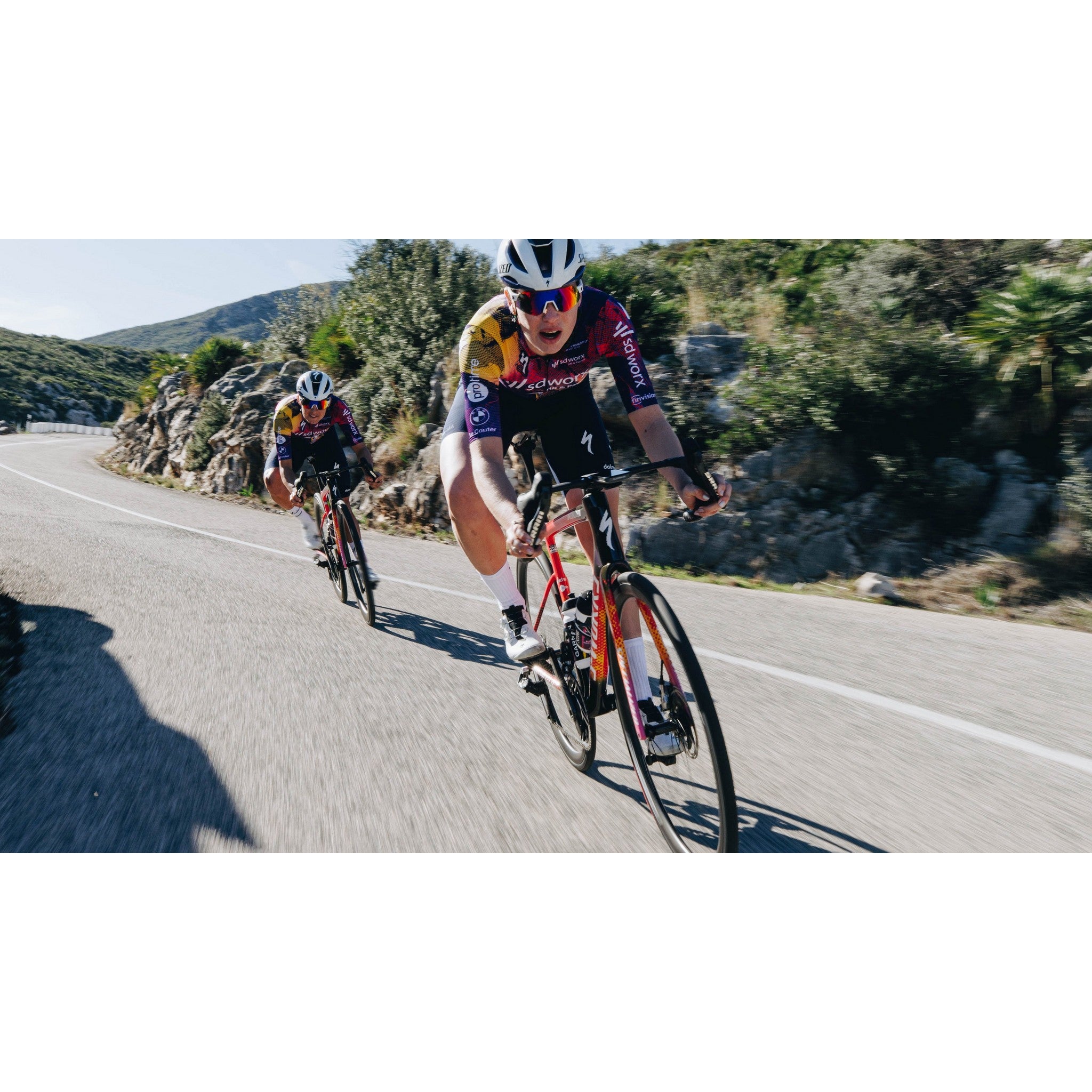 S-Works Tarmac SL8 Team Frameset: SD Worx - Protime