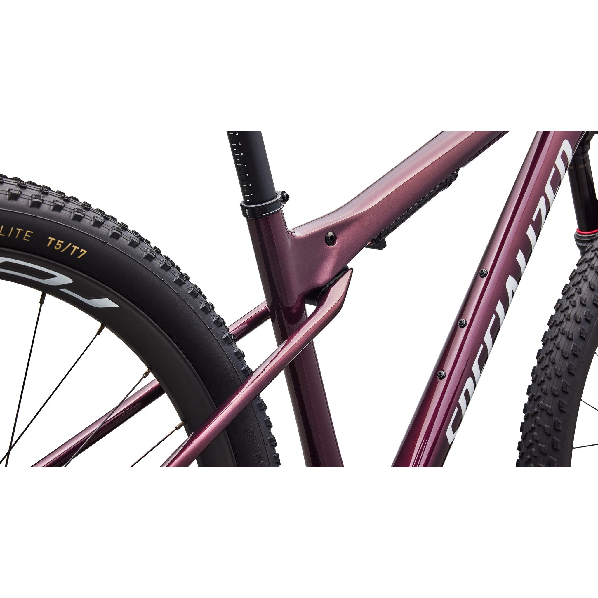 Epic World Cup Expert