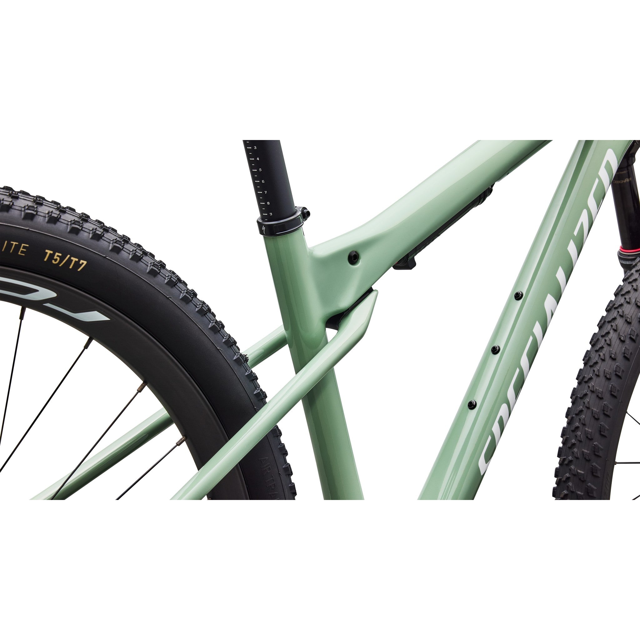 Epic World Cup Expert