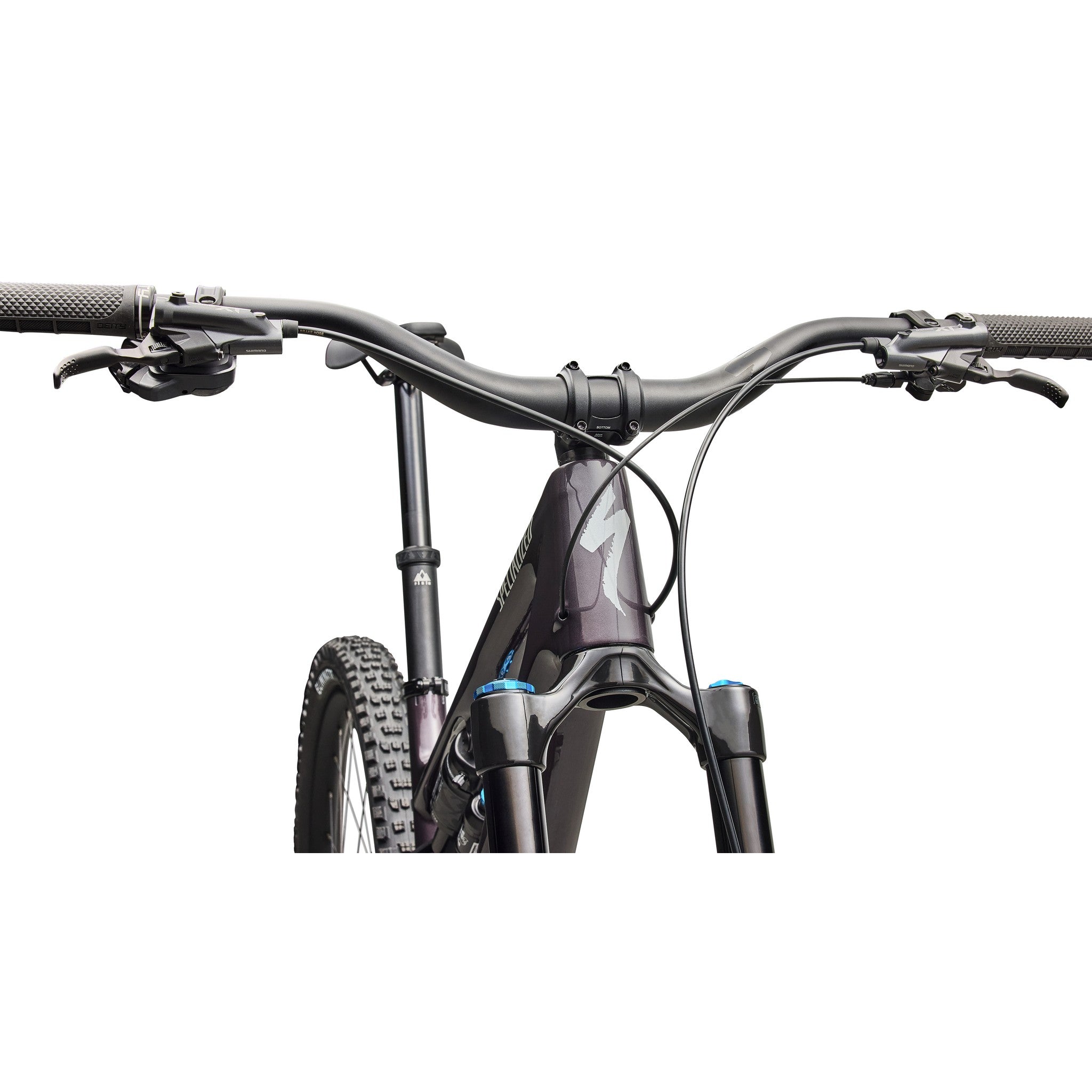Stumpjumper 15 EVO Expert Di2